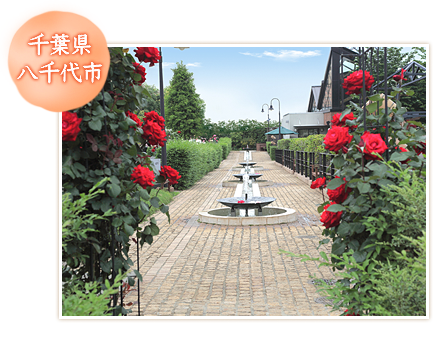 千葉県八千代市