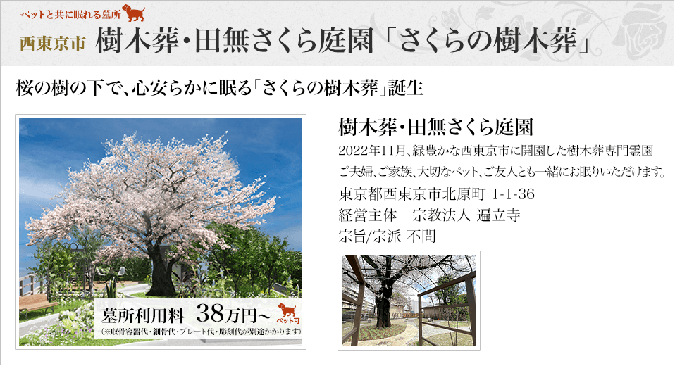 西東京市　樹木葬・田無さくら庭園「さくらの樹木葬」