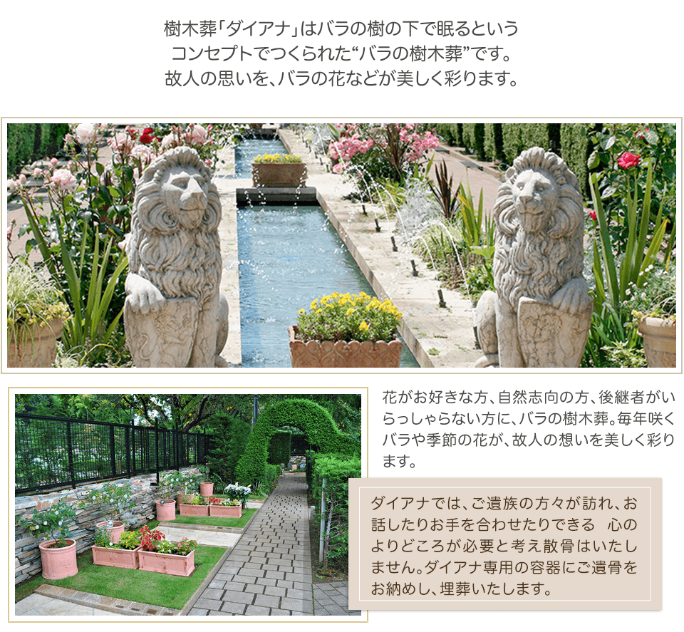 樹木葬「ダイアナ」はバラの樹の下で眠るというコンセプトでつくられた日本で初めての“バラの樹木葬”です。故人の思いを、バラの花などが美しく彩ります。