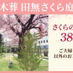 田無さくら庭園　樹木葬38万円～