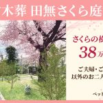 田無さくら庭園　樹木葬38万円～