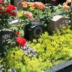 埼玉県所沢市　秋津ふれあいパーク　緑と花があふれる園内（サムネイル7）