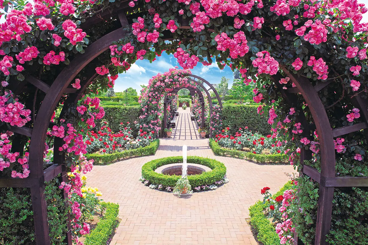 秋津ふれあいパーク