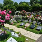 埼玉県所沢市　秋津ふれあいパーク　緑と花があふれる園内（サムネイル4）