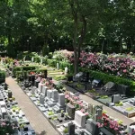 小平ふれあいパーク　花と緑あふれる園内（サムネイル3）