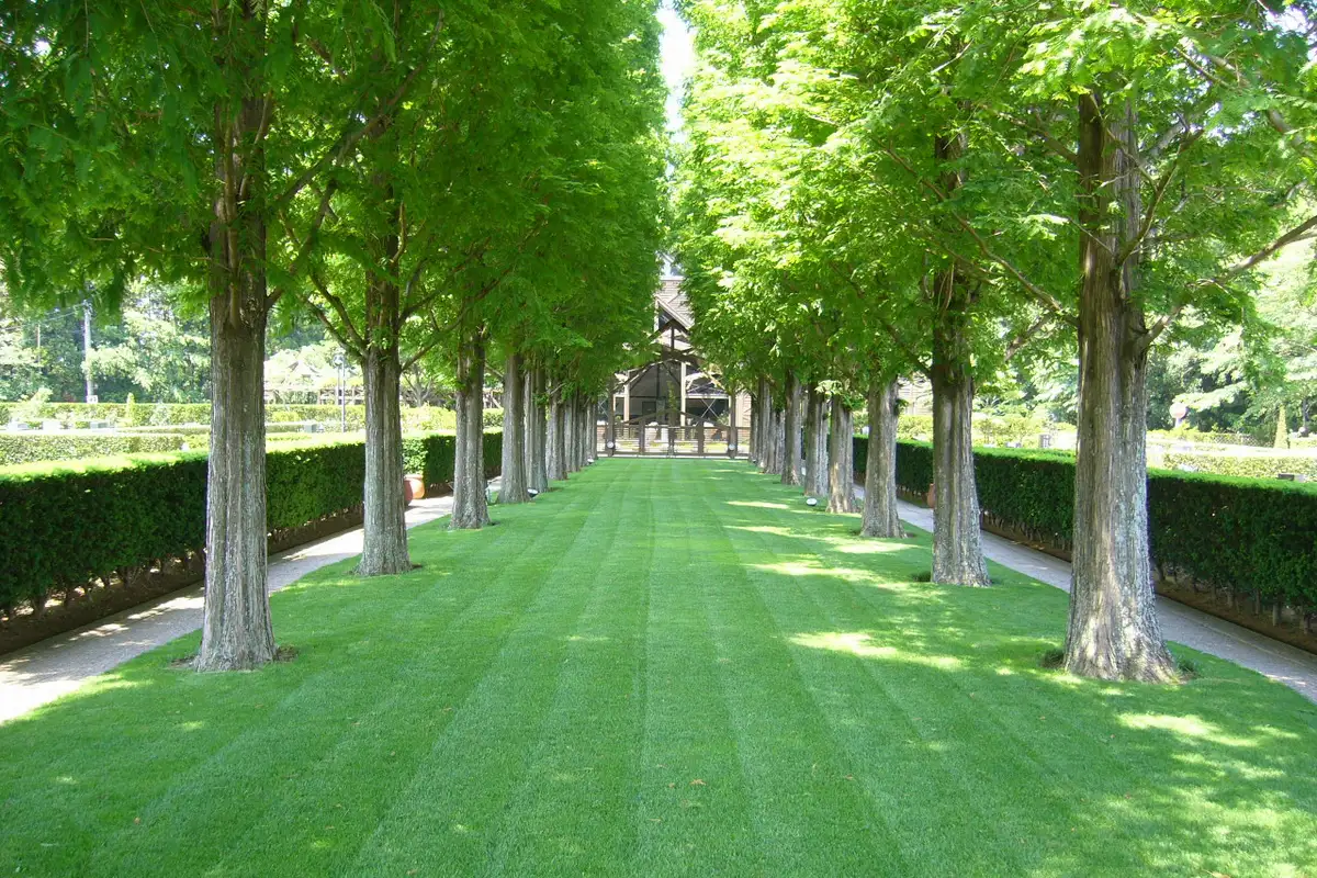 佐倉ふれあいパーク