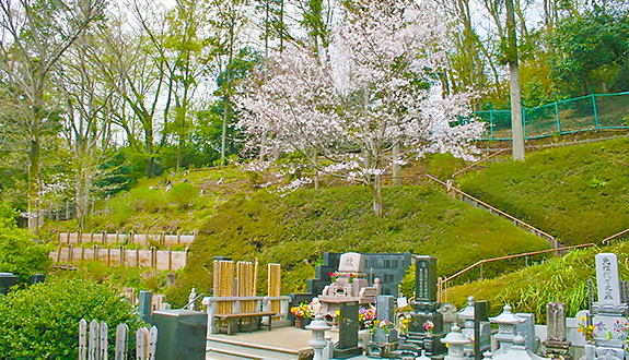 龍散寺 「陽光の杜」