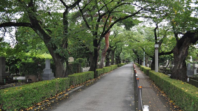 都立 青山霊園 / 東京都港区