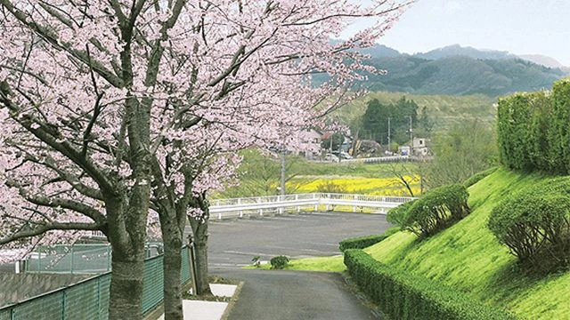 墓所の様子