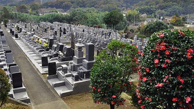 厚木中央霊園 / 神奈川県厚木市