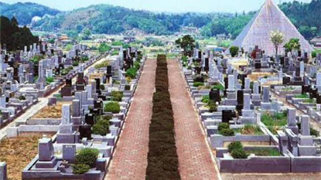 パーク全景