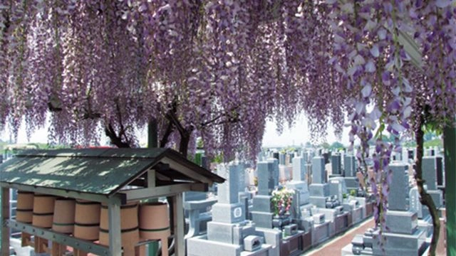 園内の様子