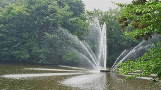 苑内の噴水