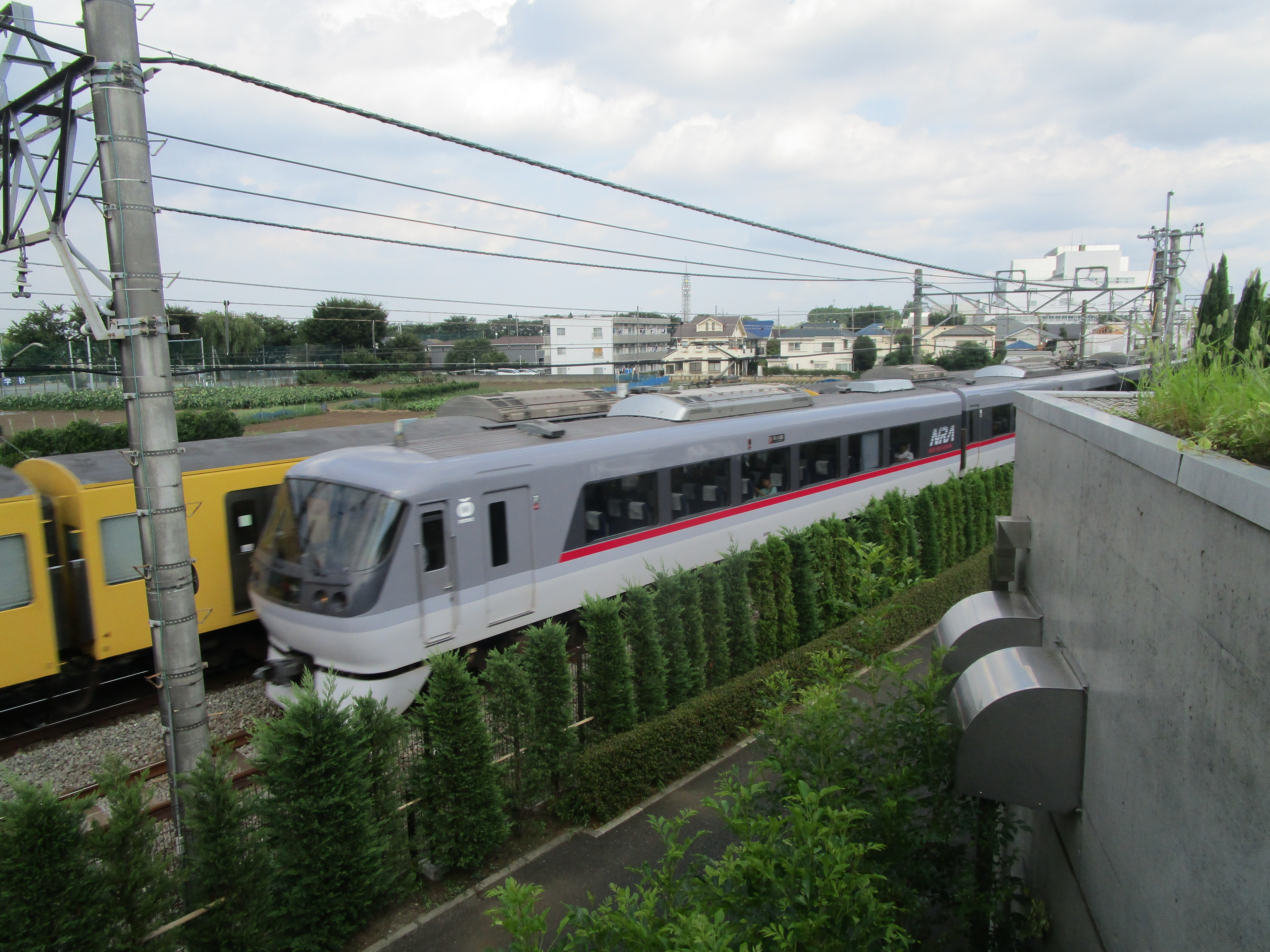 「きいろ」「あお」