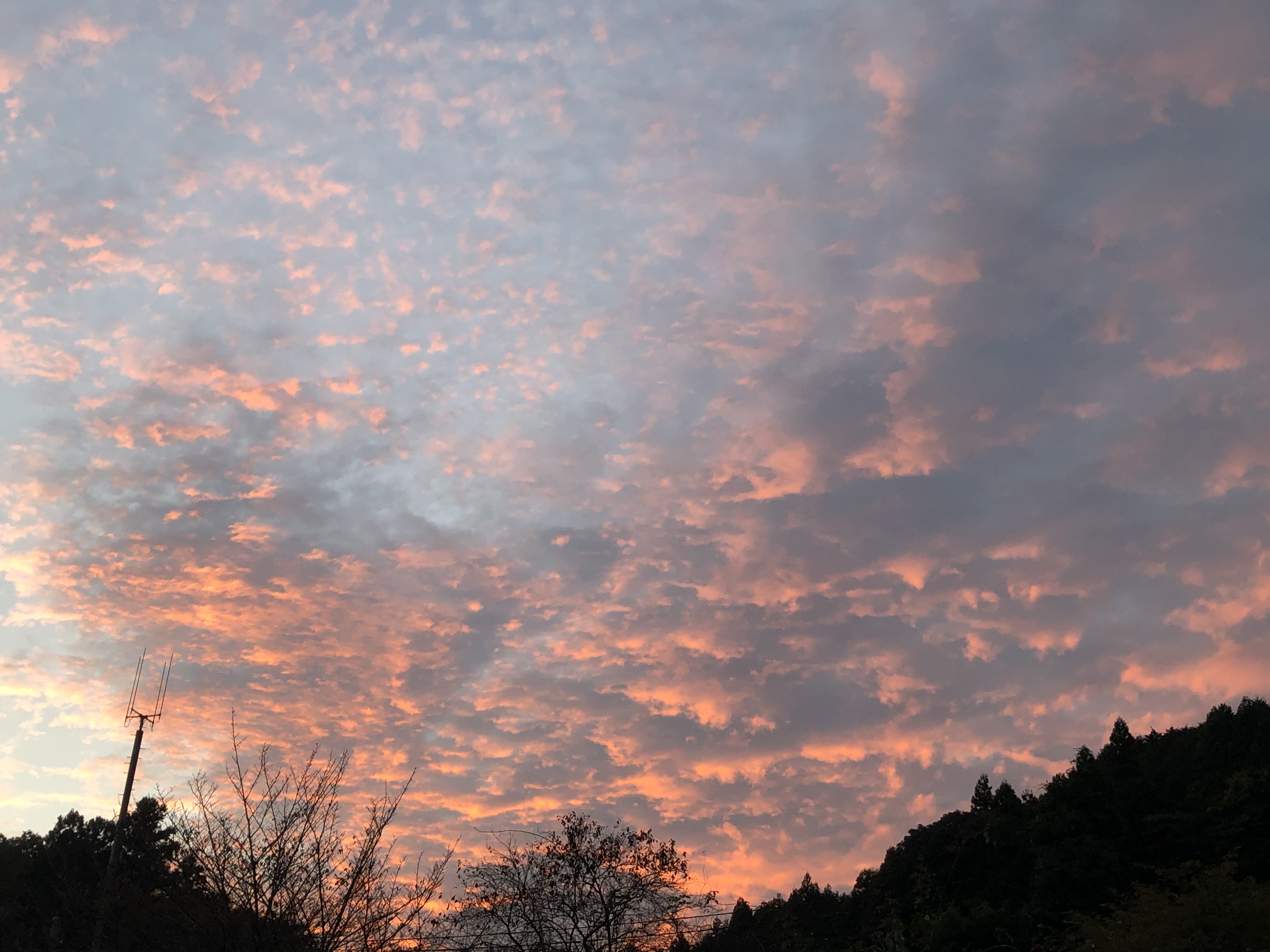 桜色の夕空