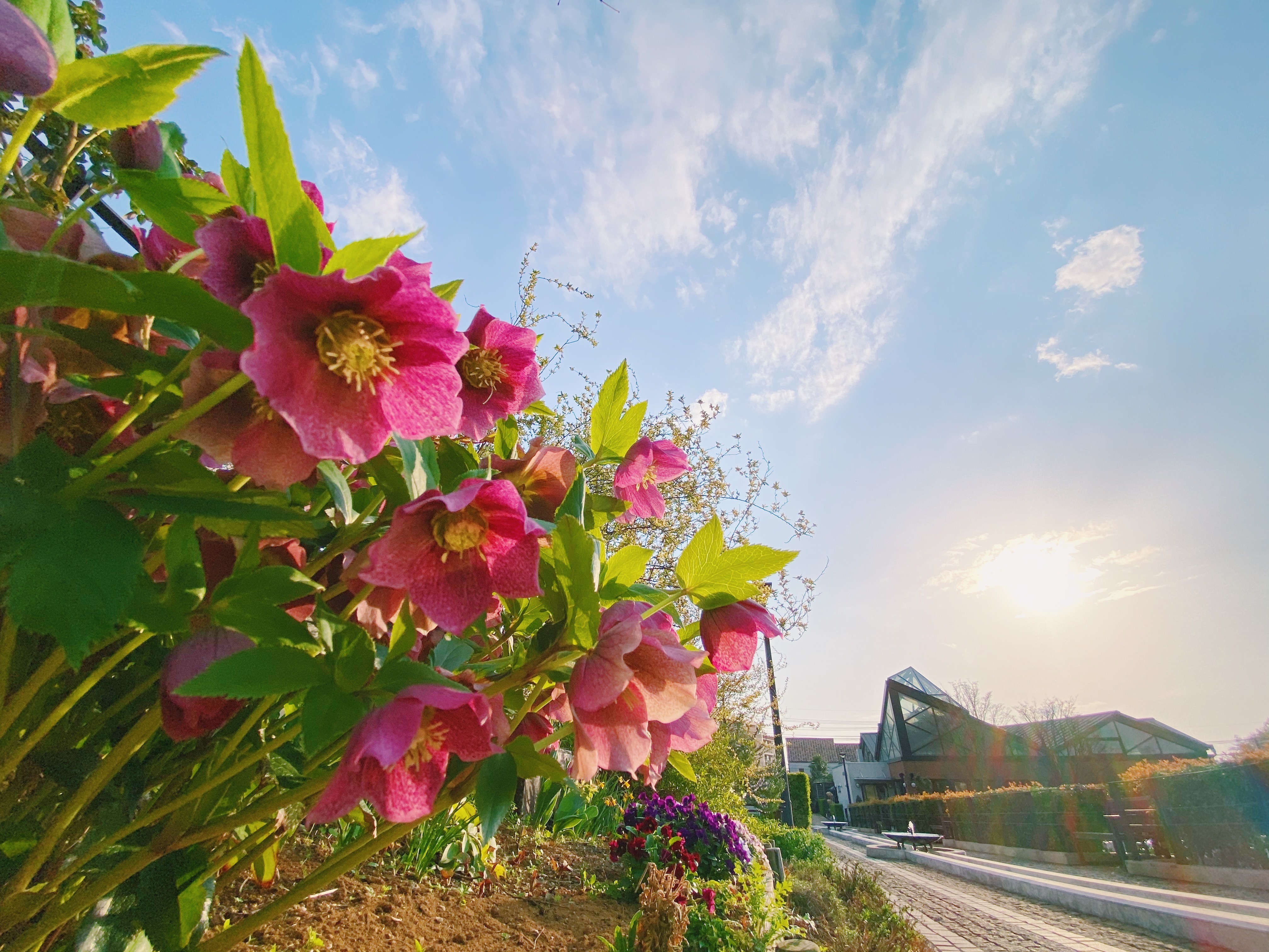 少しでも記憶に残る写真を…