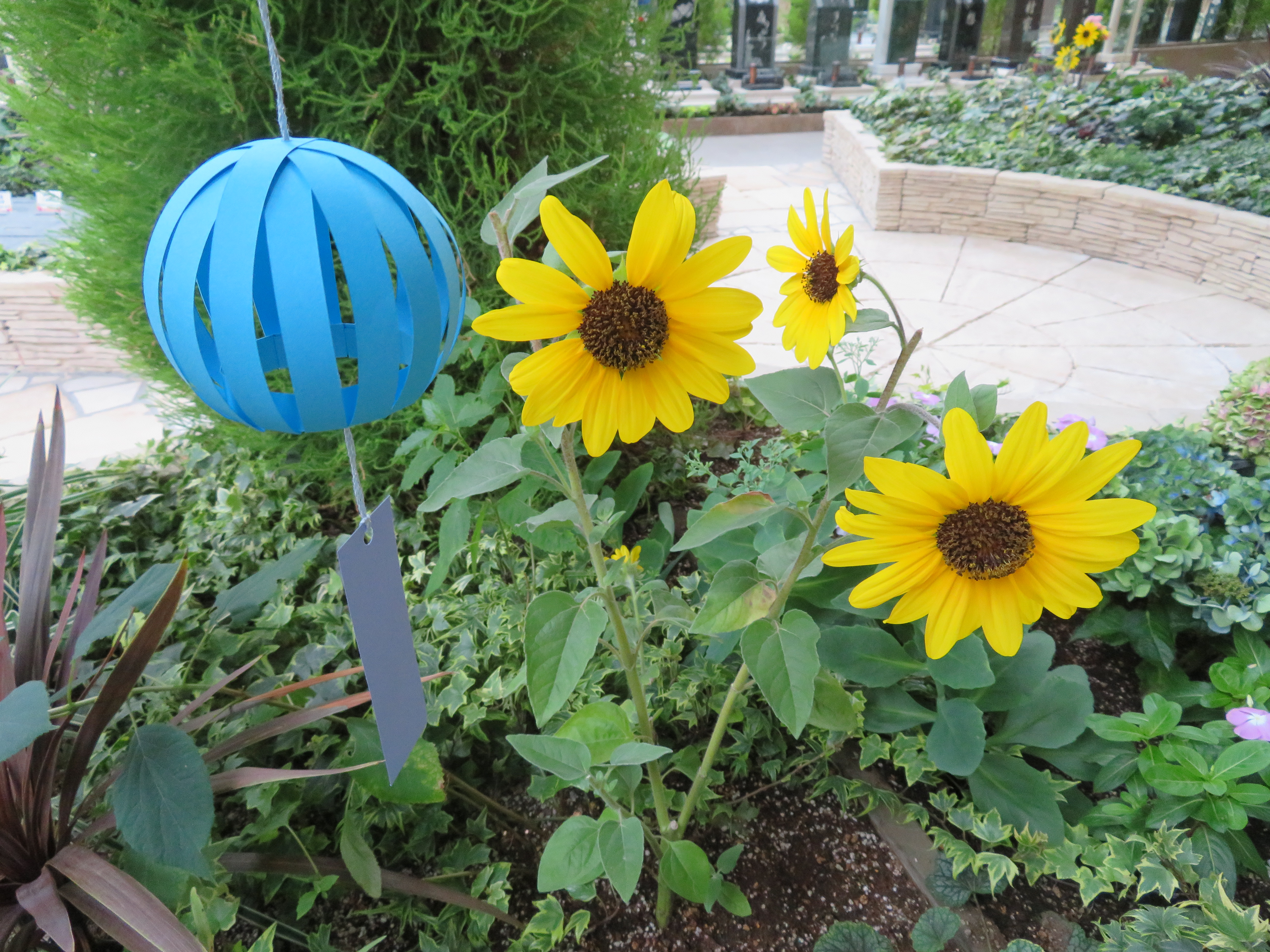 🌻盂蘭盆会合同法要のお知らせ🌻