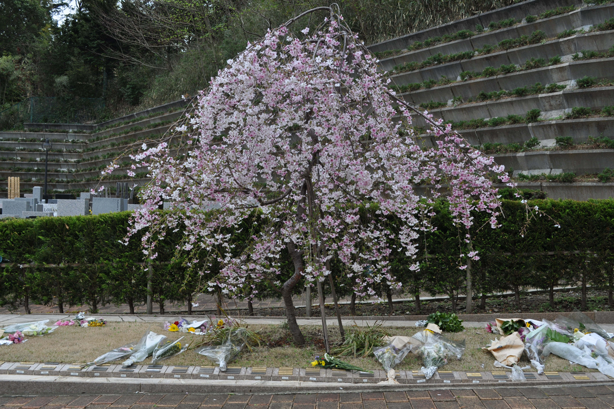 鶴ヶ峰霊園