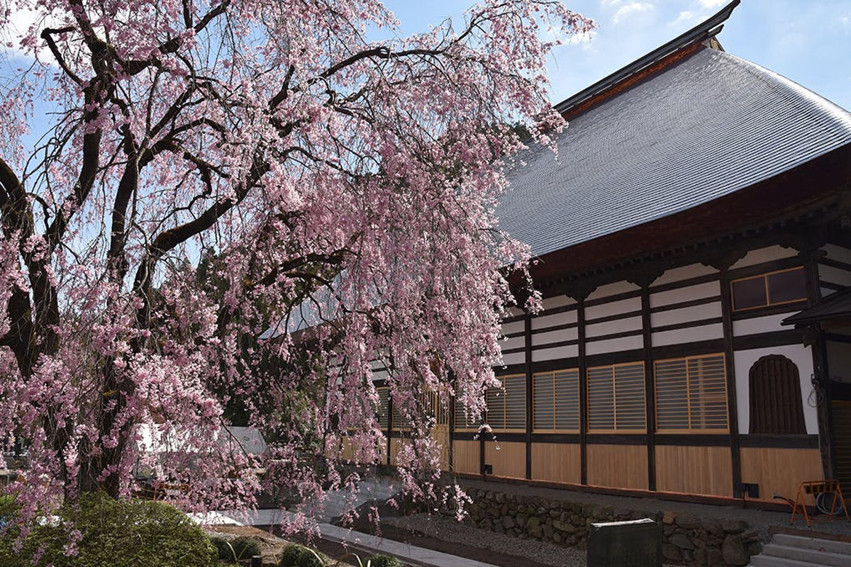 花のお寺 「宝積寺 (ほうしゃくじ) 」