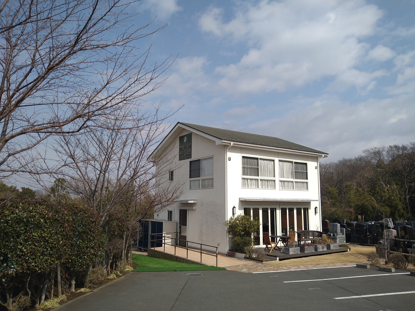 さくらの開花　　都筑まどか霊園