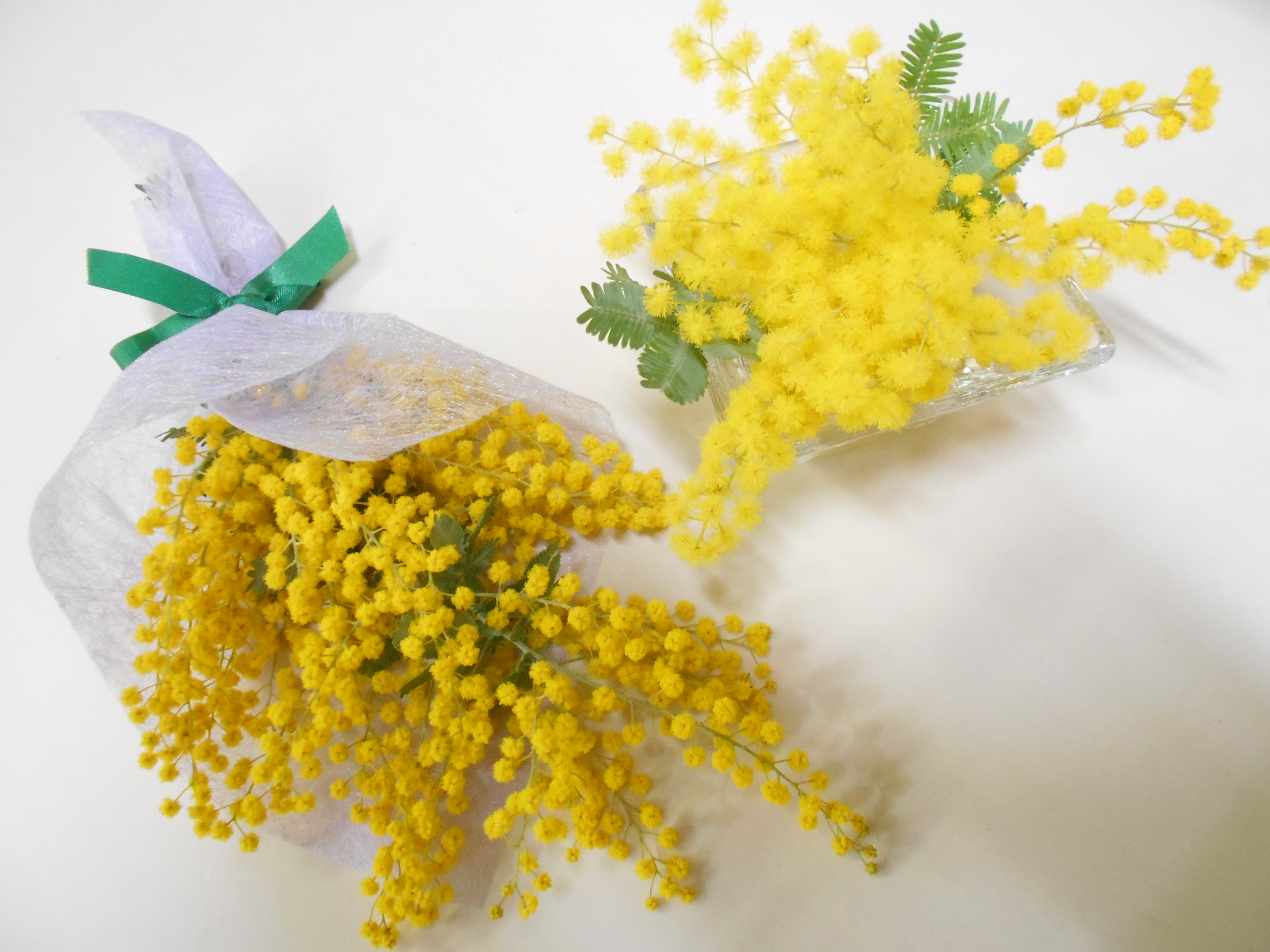 春を告げる花