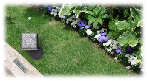 さくらの樹木葬 ご納骨イメージ