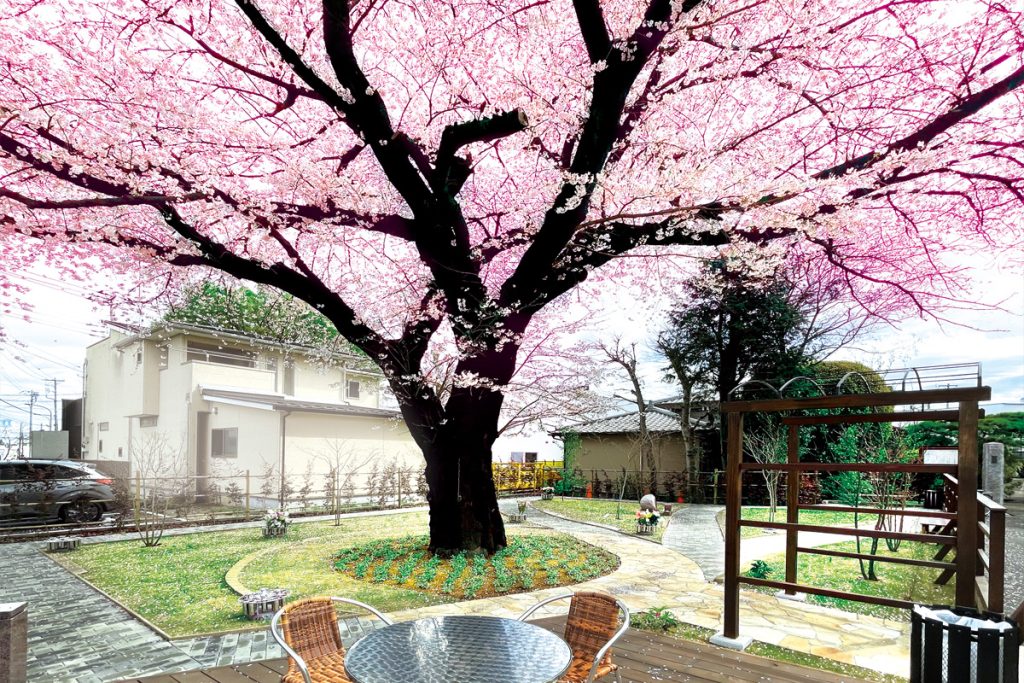東京都西東京市「樹木葬・田無さくら庭園」