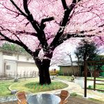 樹木葬・田無さくら庭園