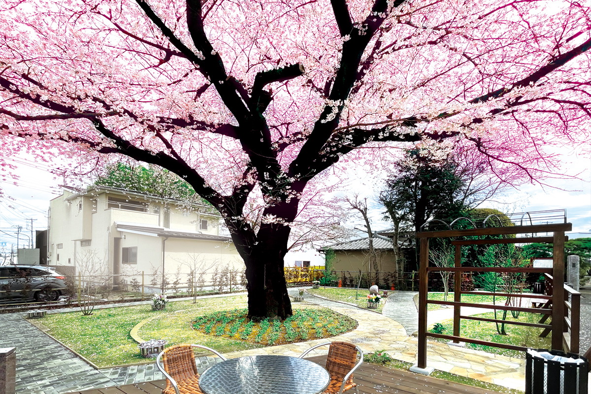 樹木葬・田無さくら庭園
