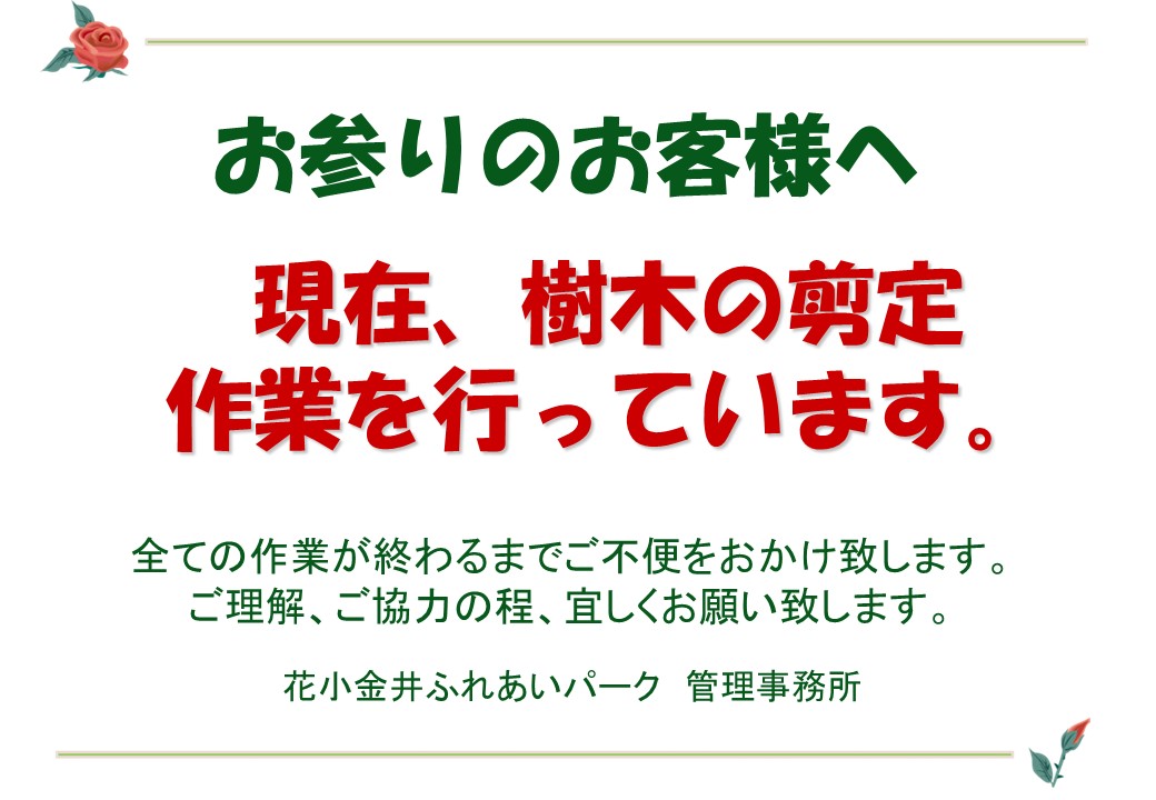 🌳１２月１２日～１６日まで ケヤキ剪定作業のお知らせ🌳