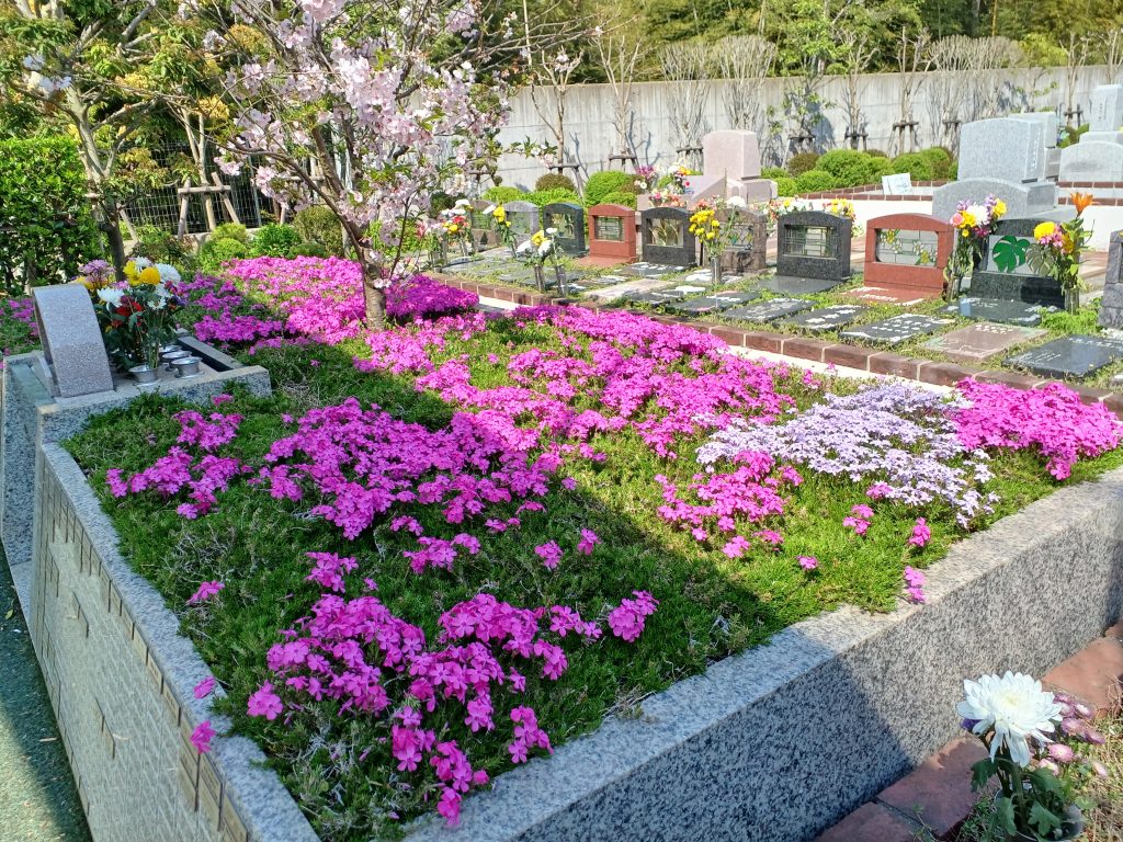 芝桜とモッコウバラ 都筑まどか霊園 | お葬式・お墓のことならガーデニング霊園のいせや