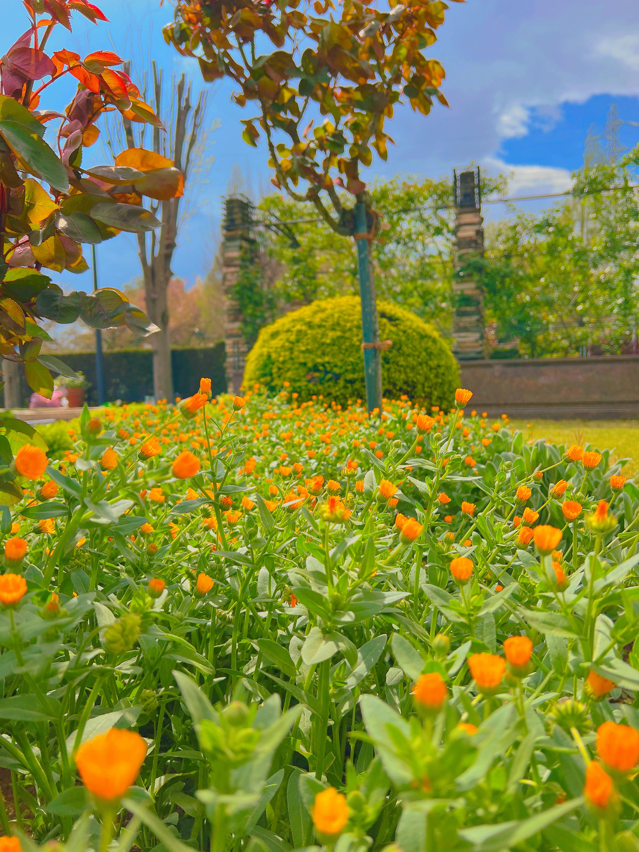 園内の様子🌷