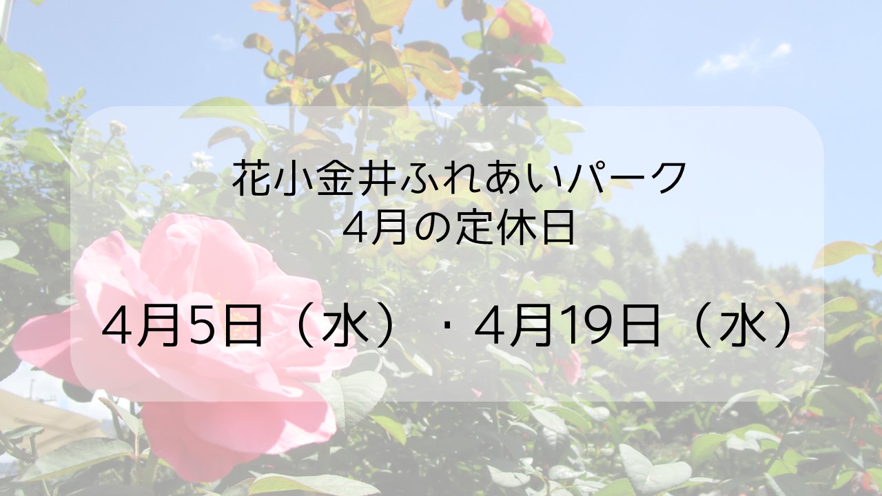 4月🌱定休日のお知らせ