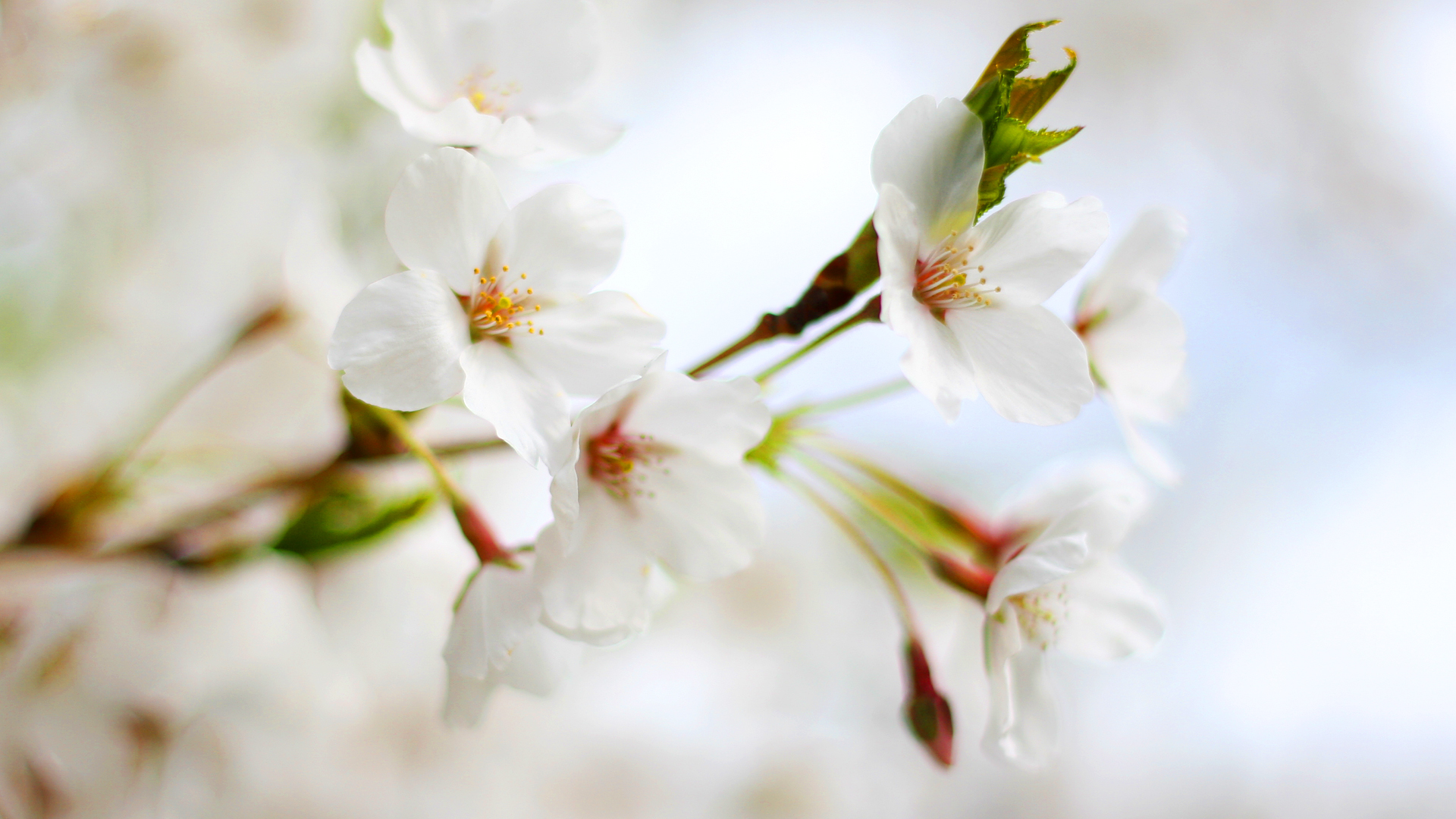 🌸もなみにも春の訪れ🌸