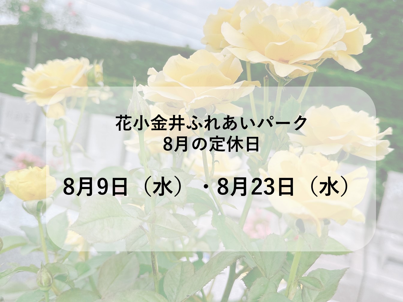 8月の定休日のお知らせ