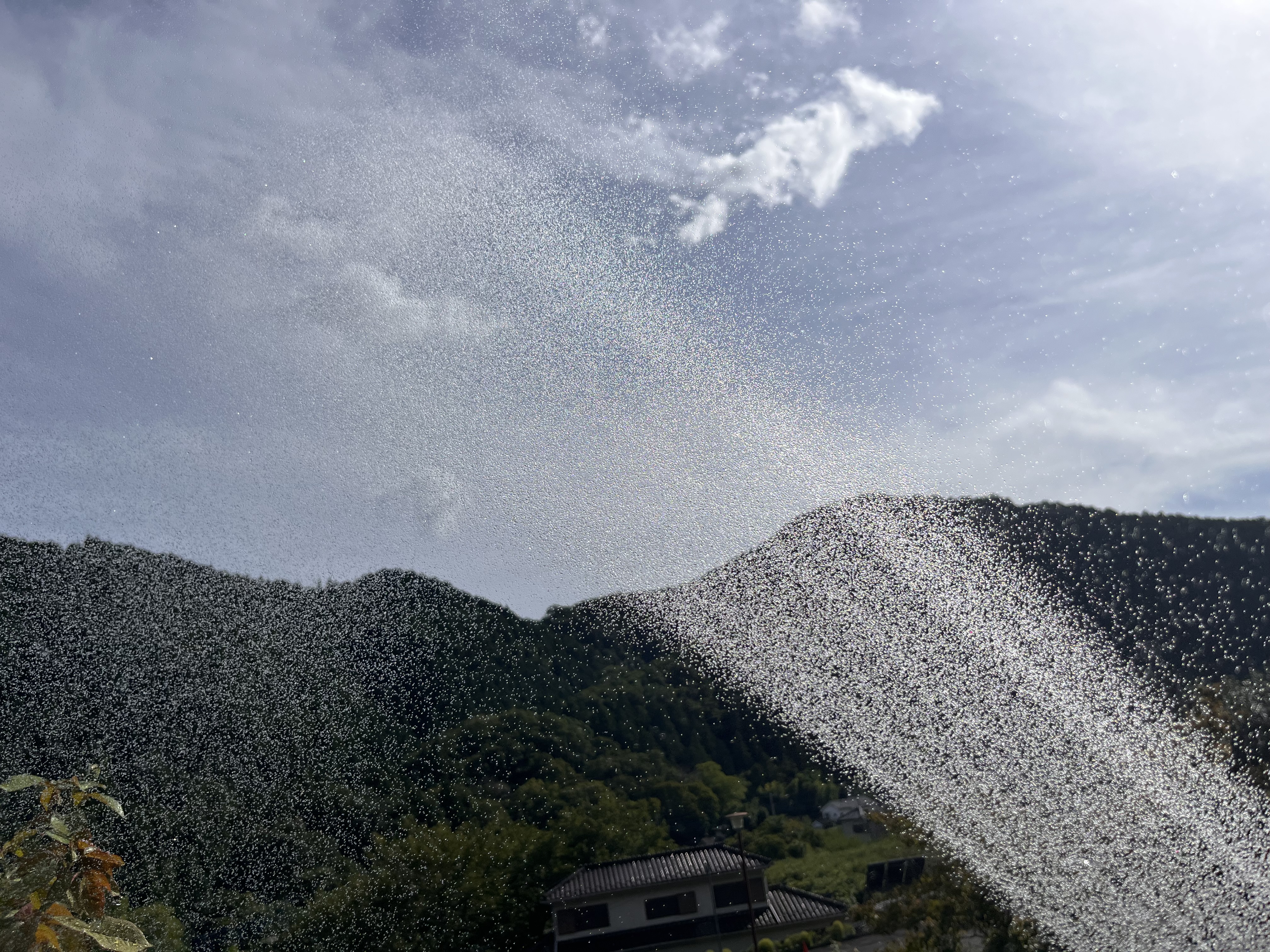 水撒き🚿