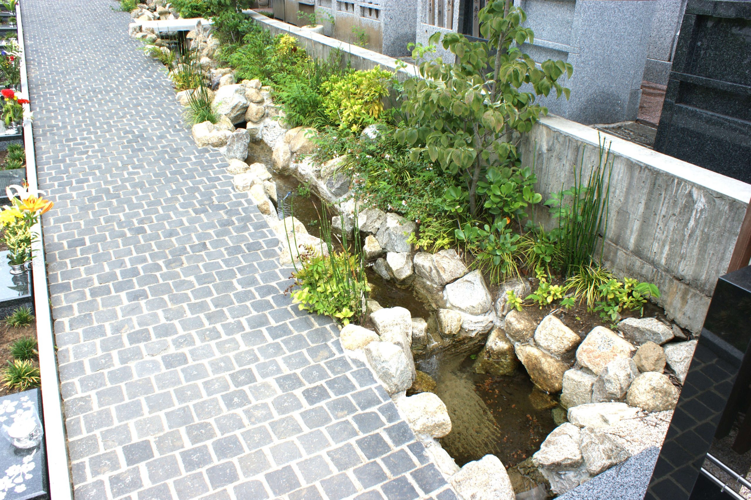 清らかな湧水の小川