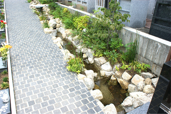 清らかな湧水の小川