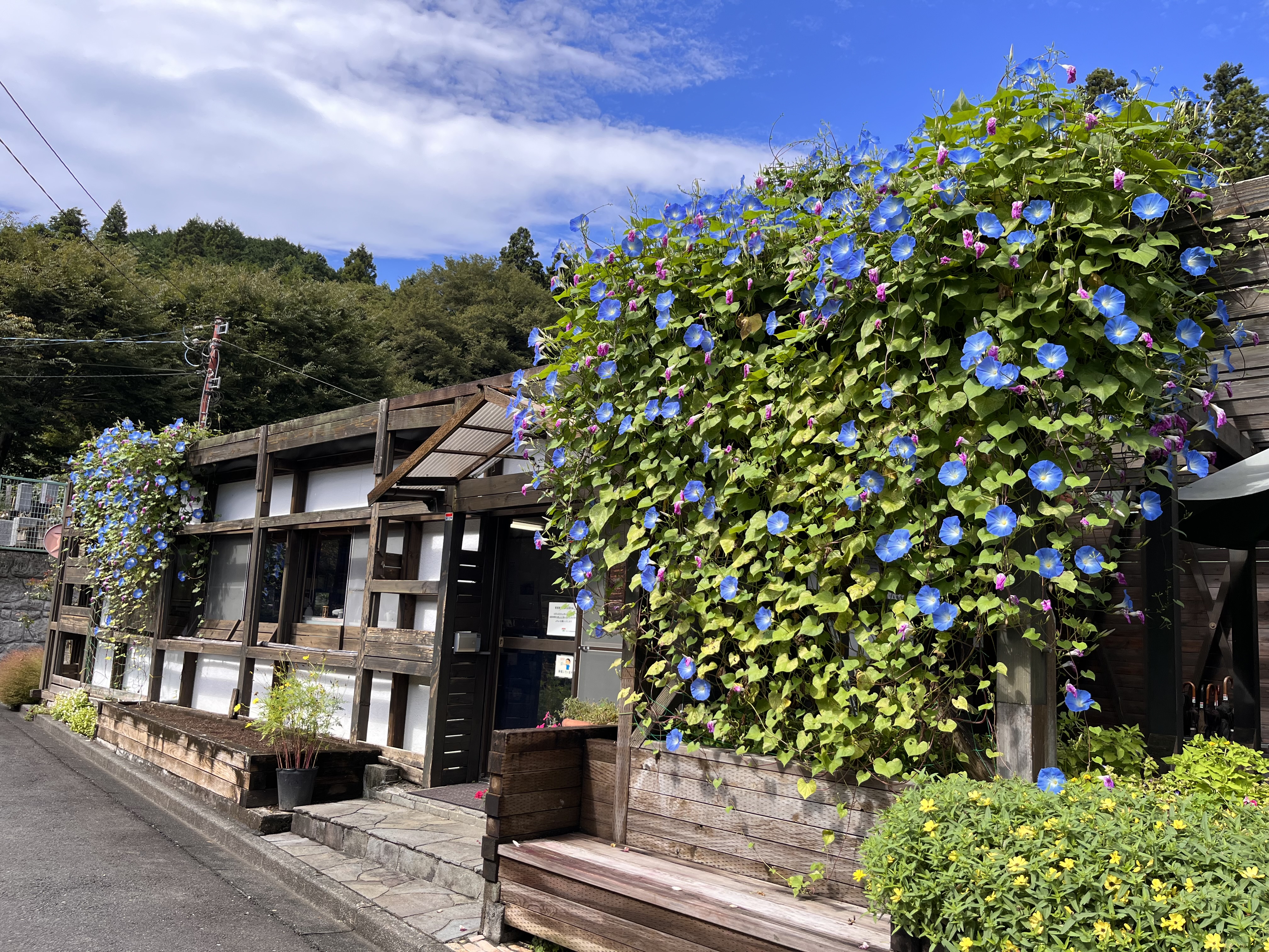 10月6日の西東京墓苑