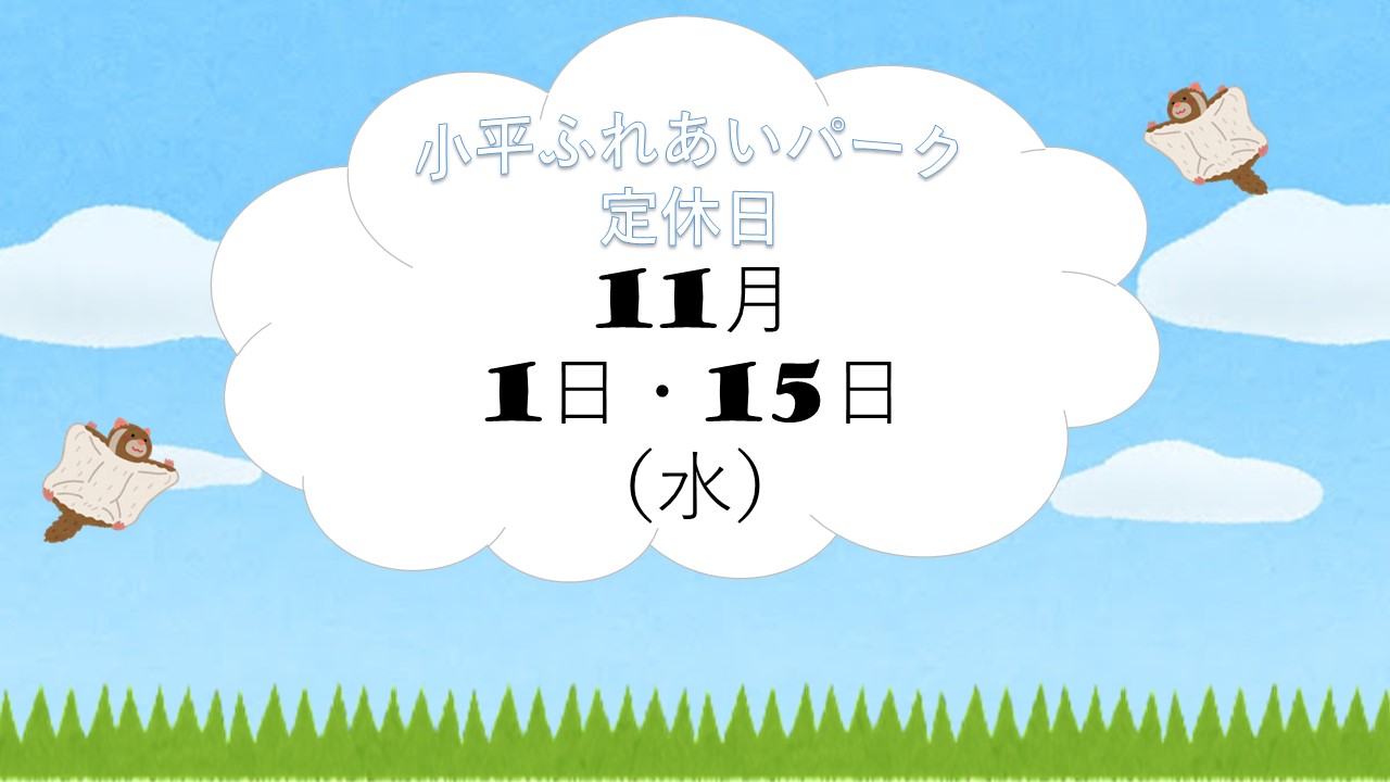 🐰11月定休日のお知らせ🐰