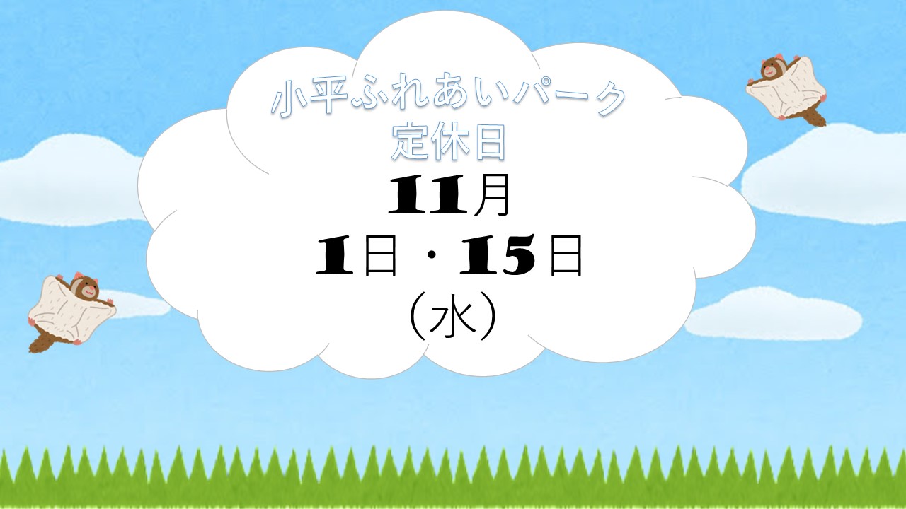 🐰11月定休日のお知らせ🐰