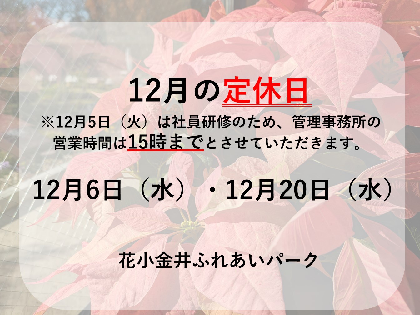 12月定休日のお知らせ