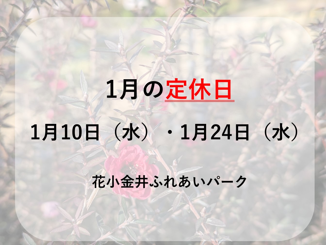 １月の定休日＆年末年始　期間中にお参りの皆様へ