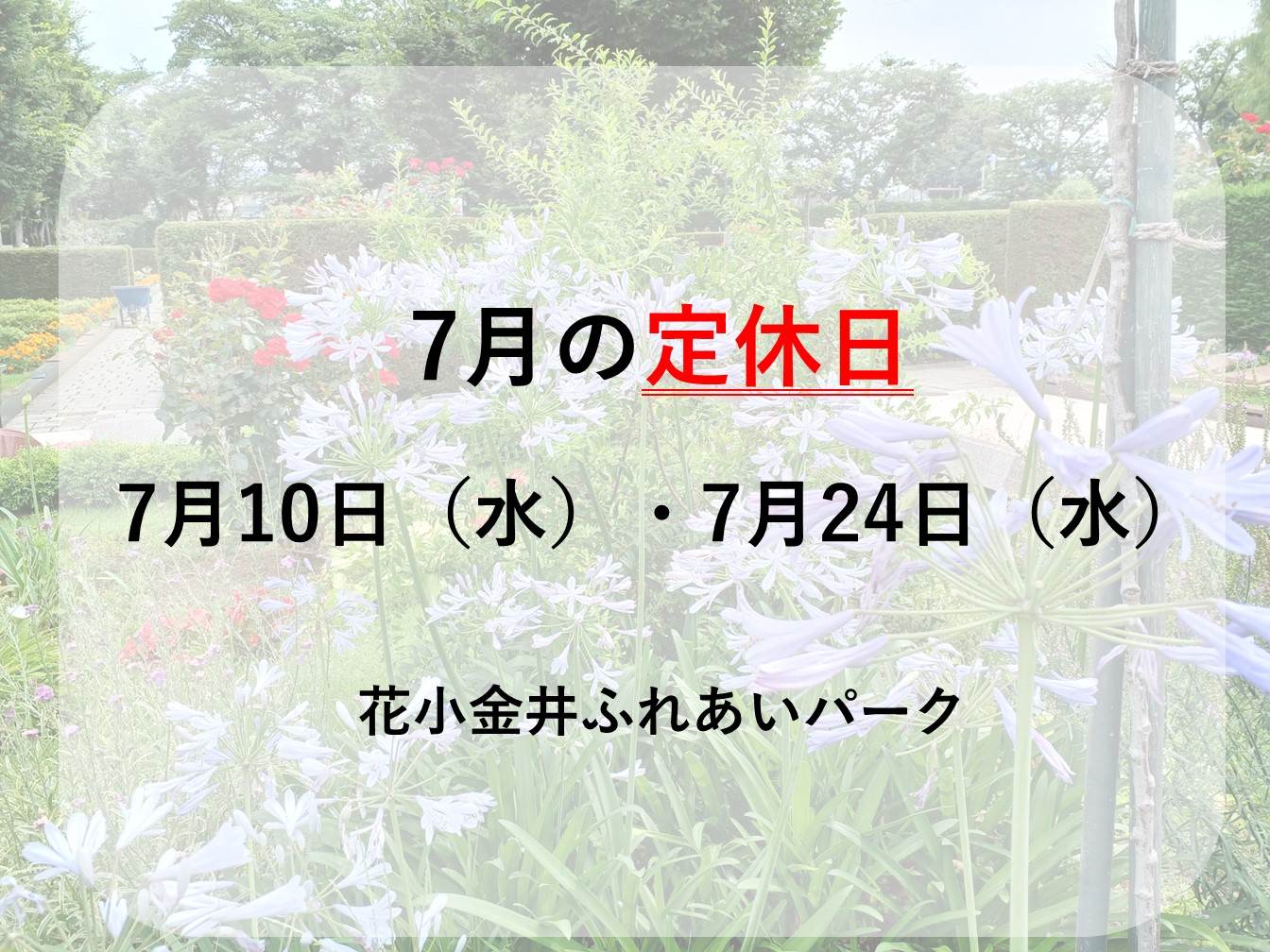 🐸7月の定休日のお知らせ🌞