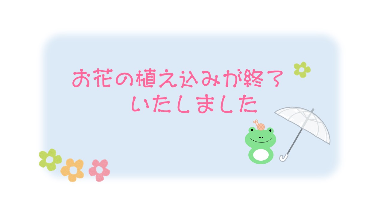 夏のお花🌼