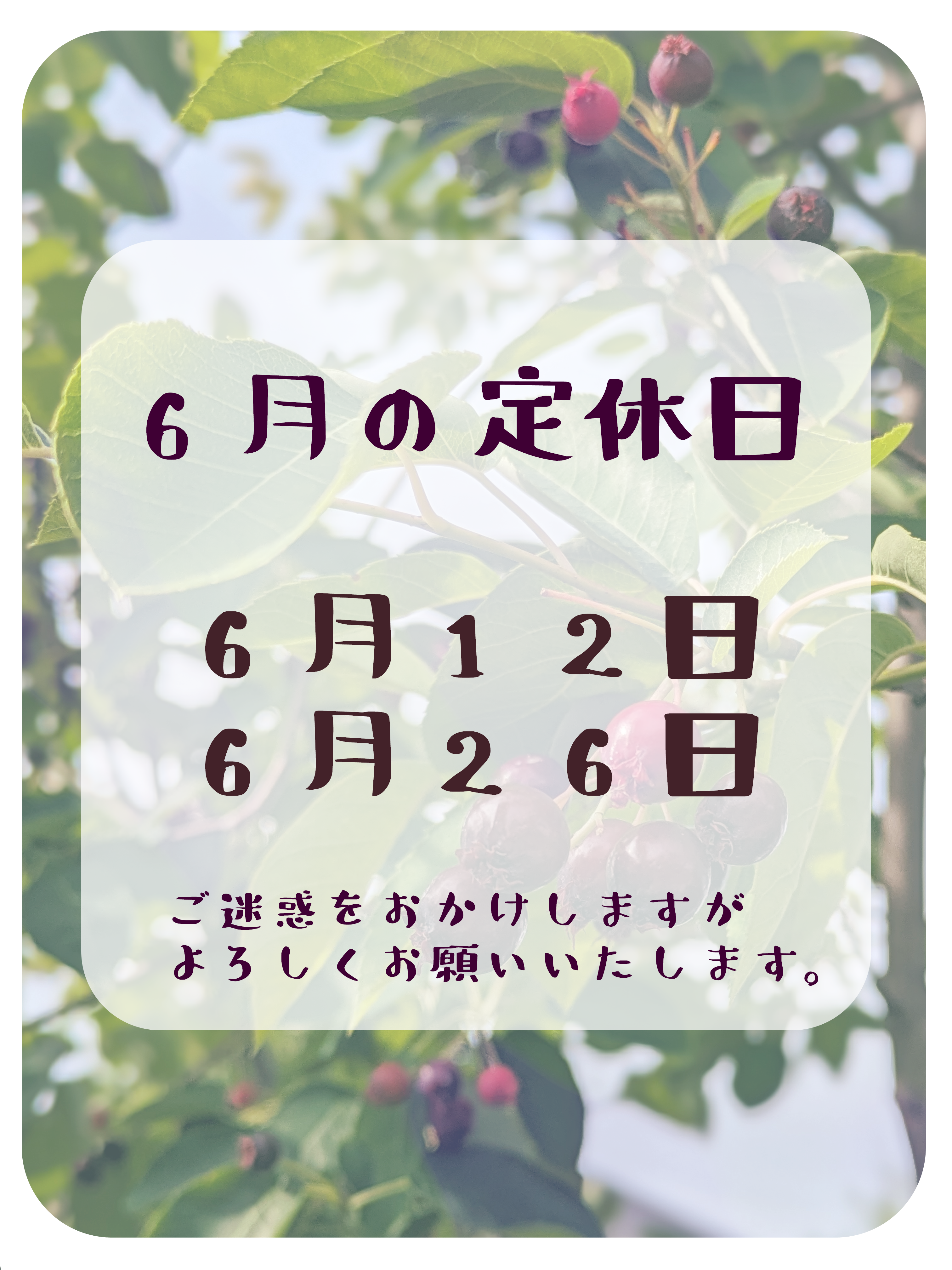 ６月定休日のお知らせ