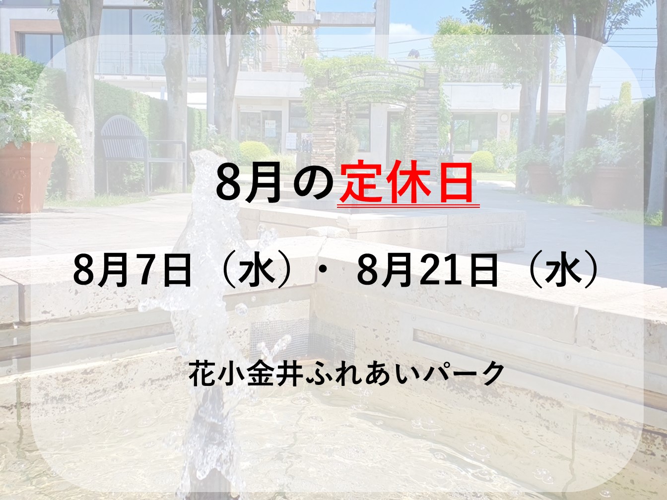 🎐8月定休日のお知らせ🐳