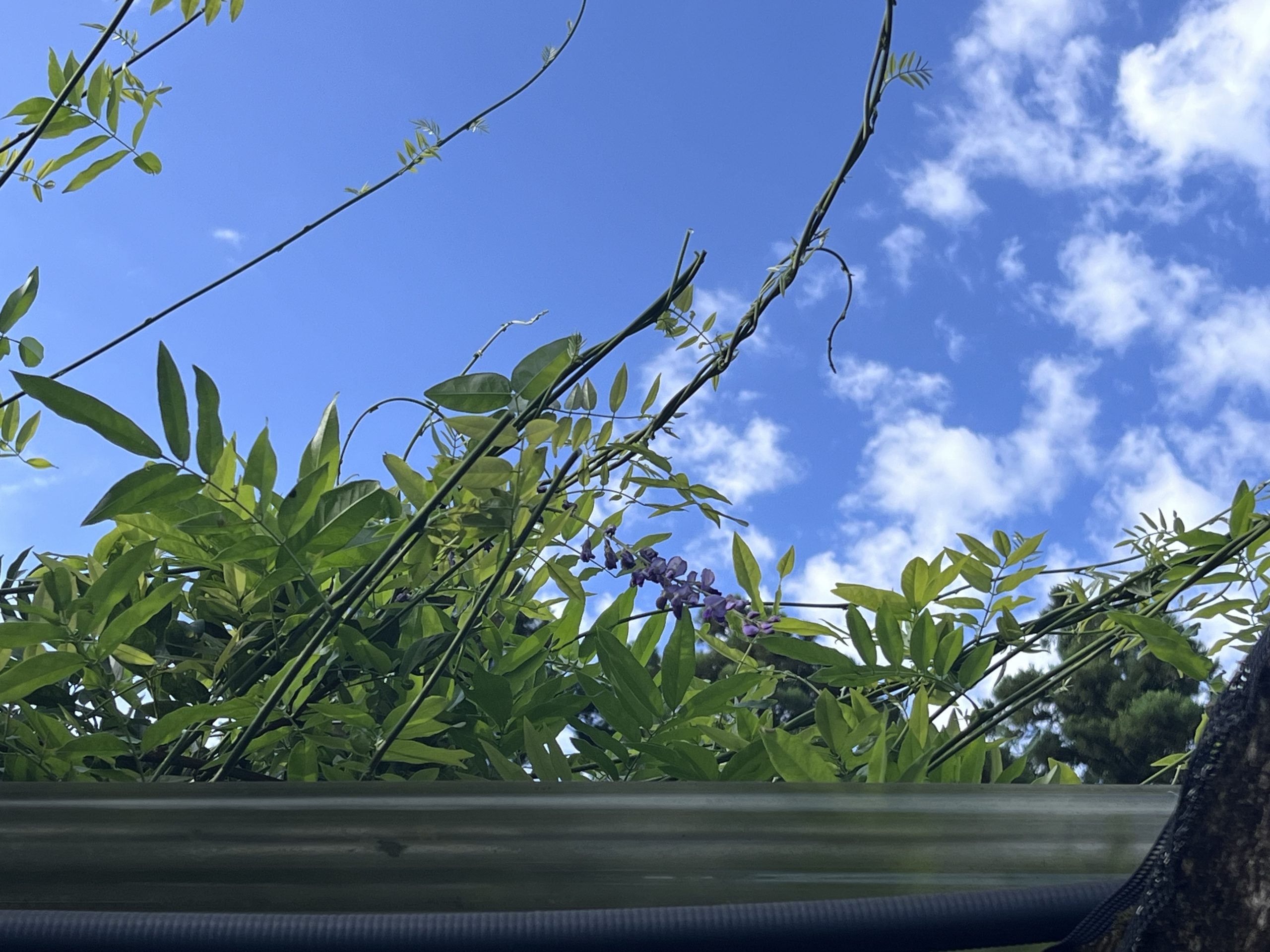 8月の定休日のお知らせ