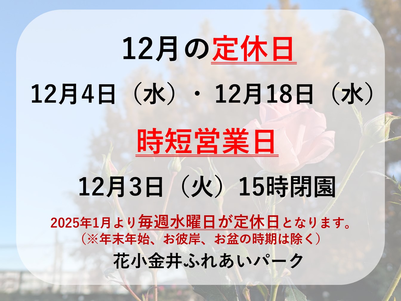 12月定休日と12月3日時短営業のお知らせ