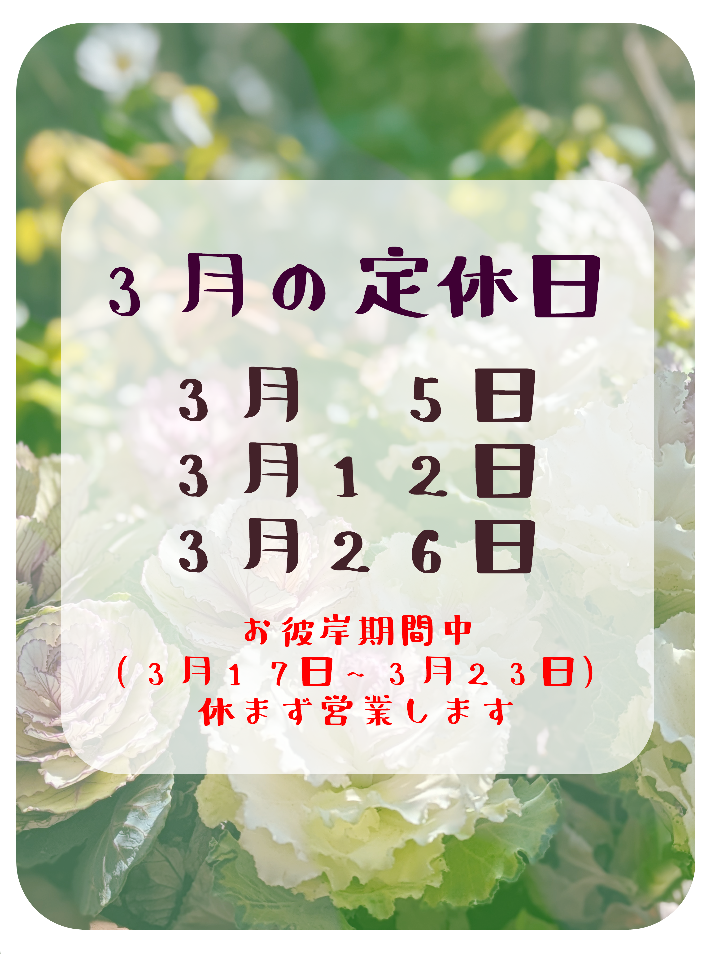 🎎３月の定休日のお知らせ🍑